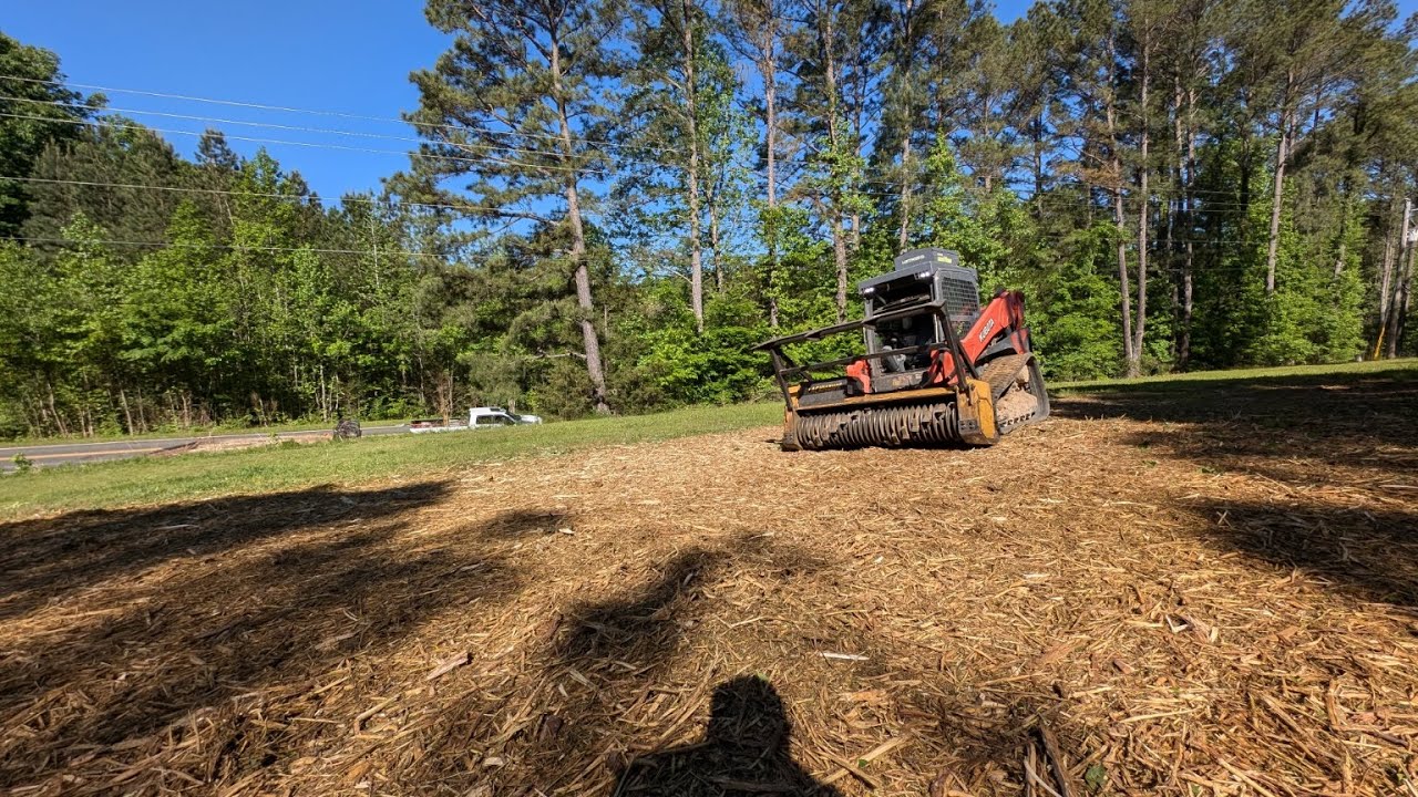 HUGE Bush VS Forestry Mulcher