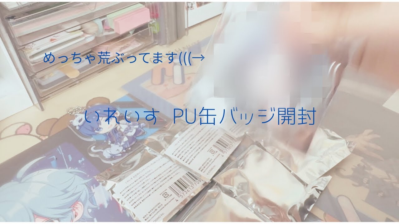 【グッズ開封】久しぶりにグッズ開封したらヤバすぎた...