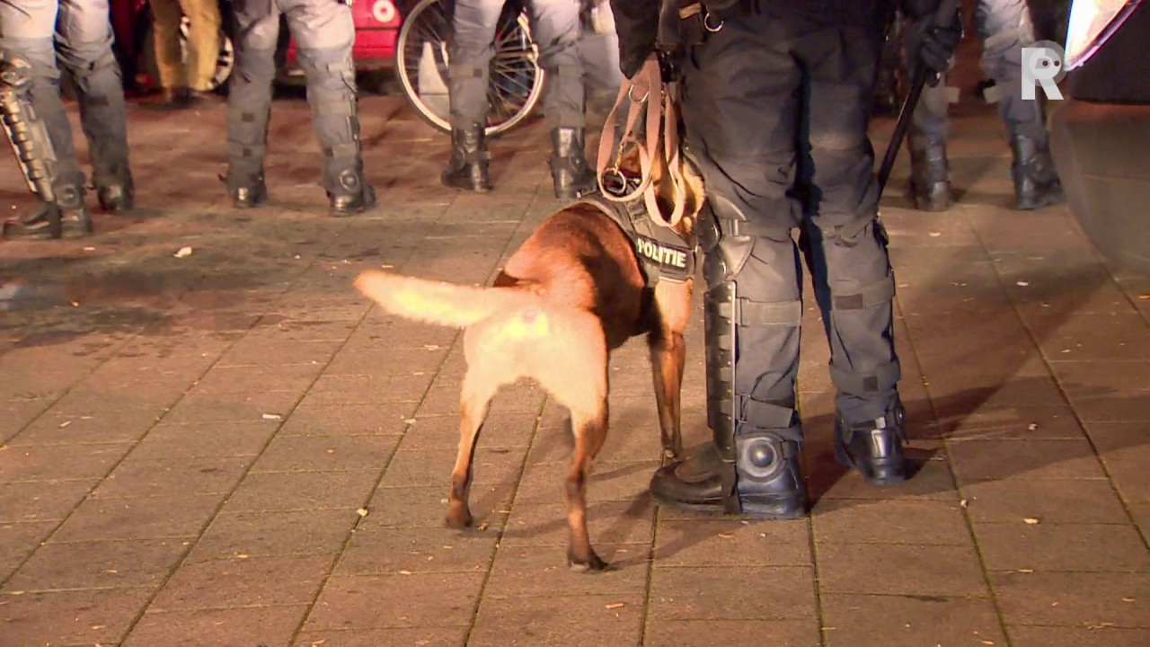 De ME kwam in actie toen een deel van de demonstranten weigerde om bevelen van de politie op te v...