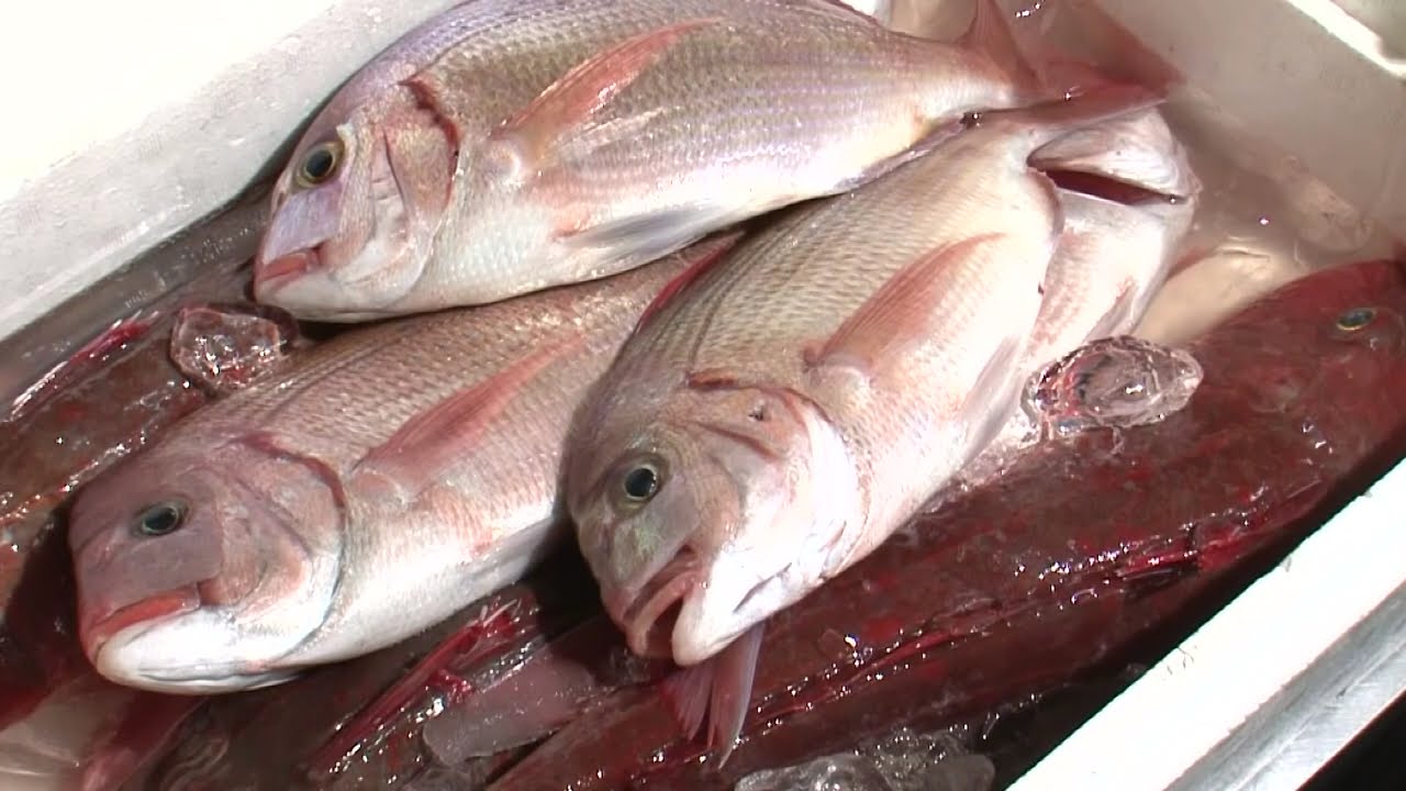 『ちば見聞録』