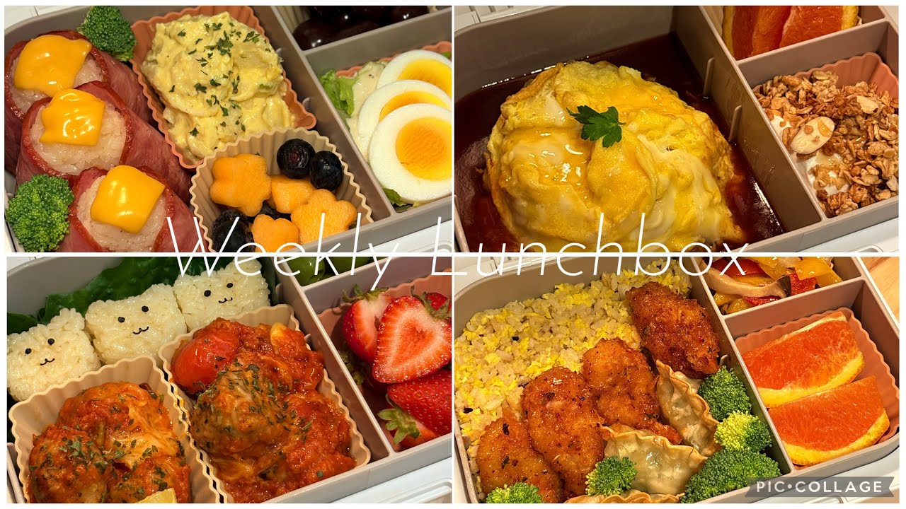 ASMR | Weekly Lunchbox Compilation #Food #bento #lunchbox #asmr