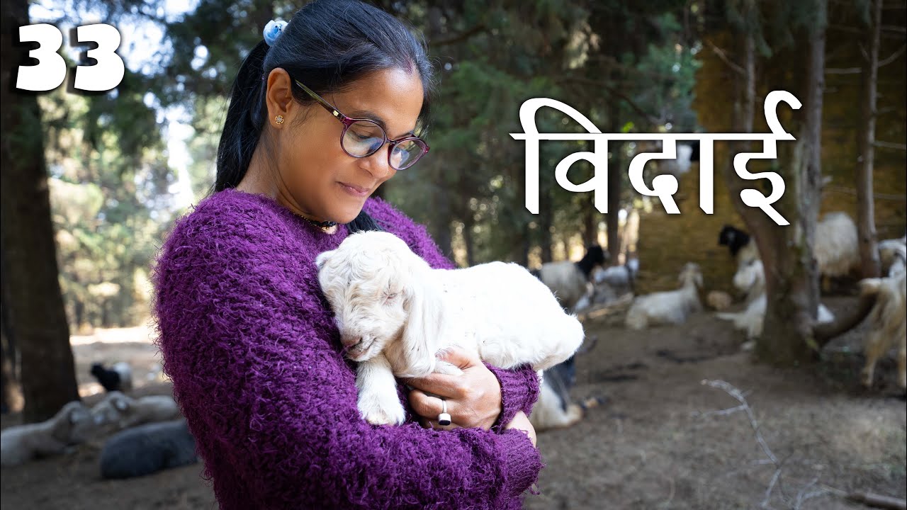 Vlog33 || बाय बाय कांसखेत फिर मिलेंगे