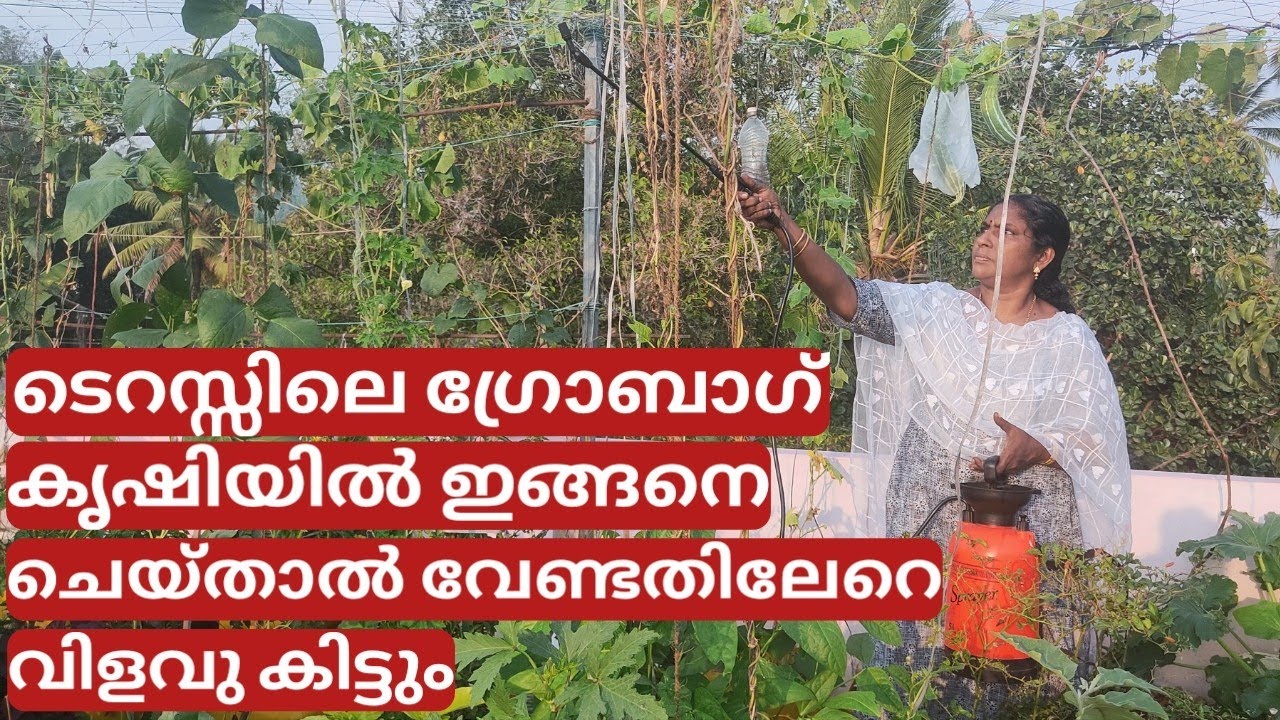 A monthly and weekly timetable for farming in growbag on terrace | Malayalam