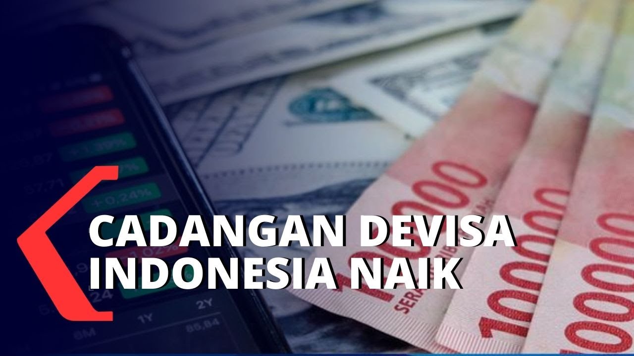 Kenaikan Cadangan Devisa Indonesia, Pemerintah Bisa Jaga Stabilitas?