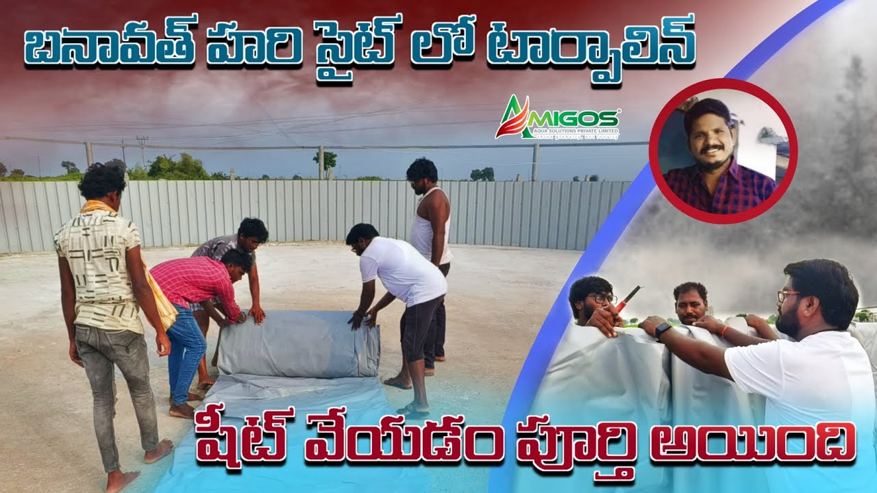 అమిగోస్ ఆక్వా సొల్యూషన్స్ కంపెనీ ద్వారా బయో ఫ్లాక్ ట్యాంక్ లో టార్పాలిన్ షీట్ వేయడం పూర్తి అయింది