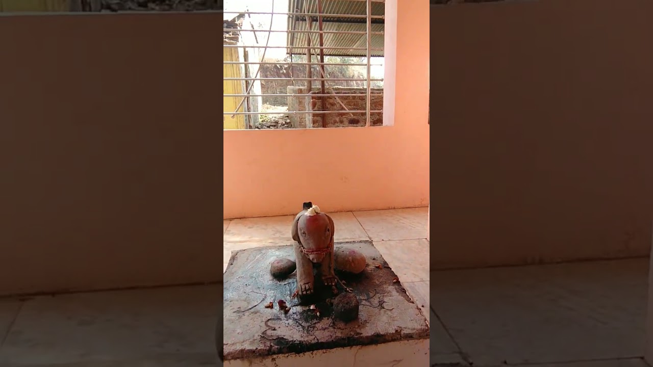 14 फ़रवरी 2026