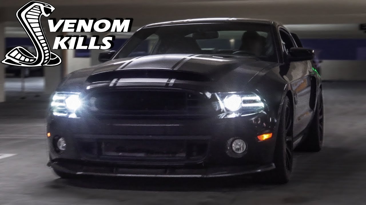 The BADDEST GT500 Super Snake You'll Ever See! READY TO HUNT
