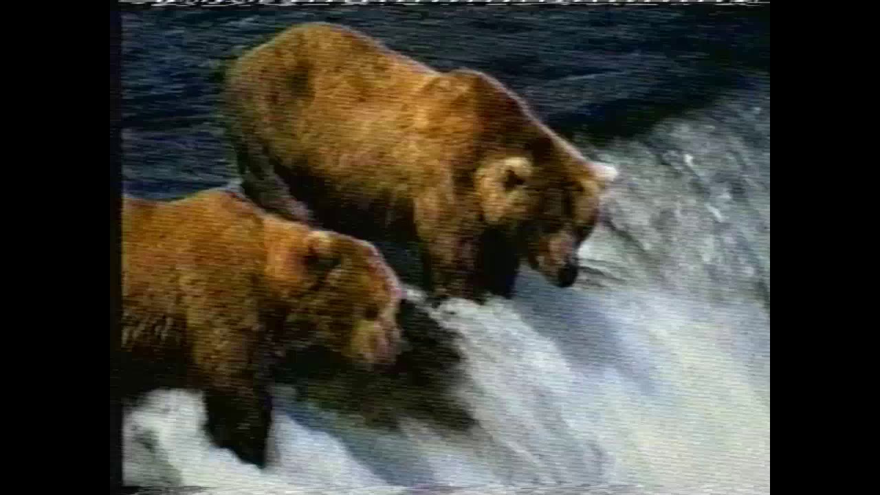 Conoco | Television Commercial | 2002 | Nature