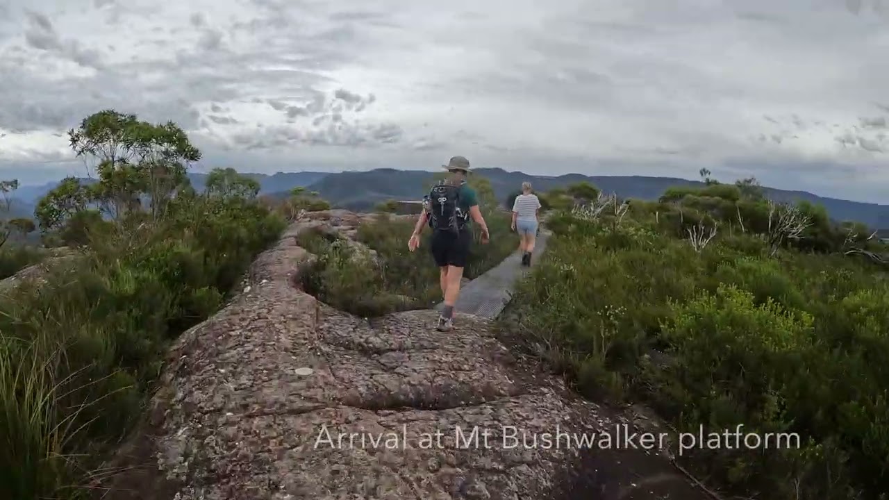 Mount Bushwalker