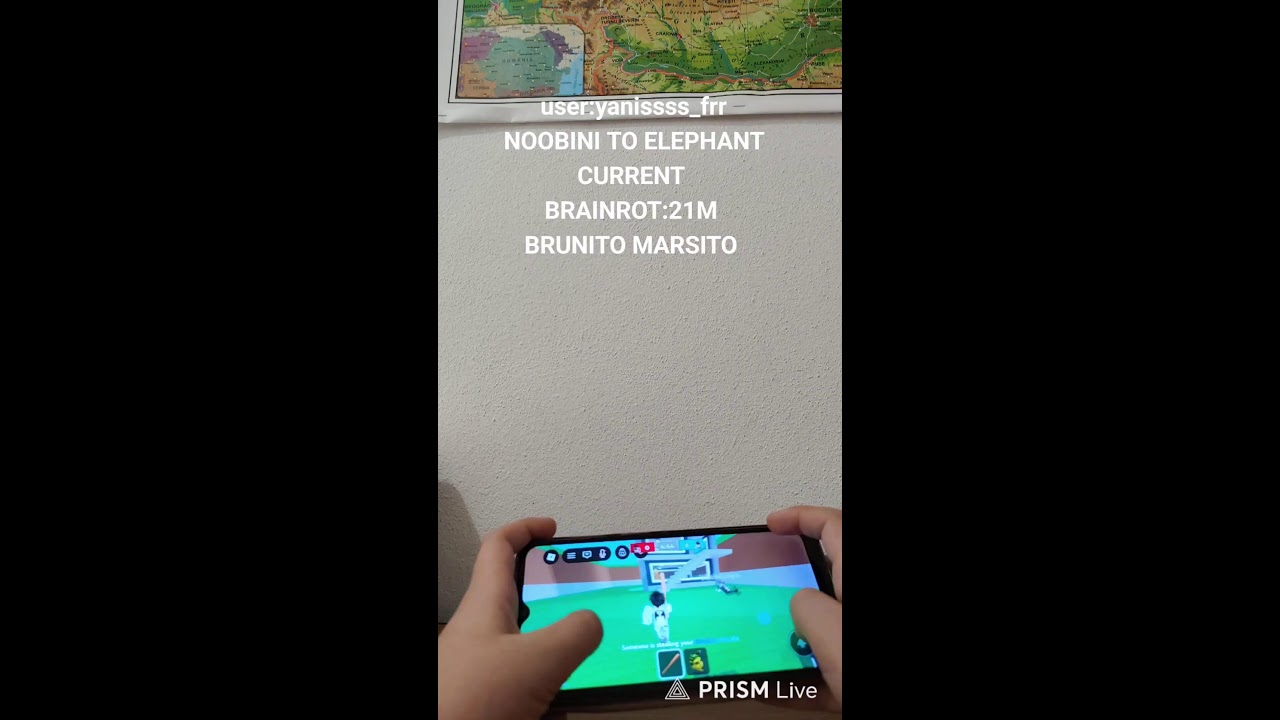 ‼️LIVE‼️ Noobini To Strawberry Elephant CHALLANGE!