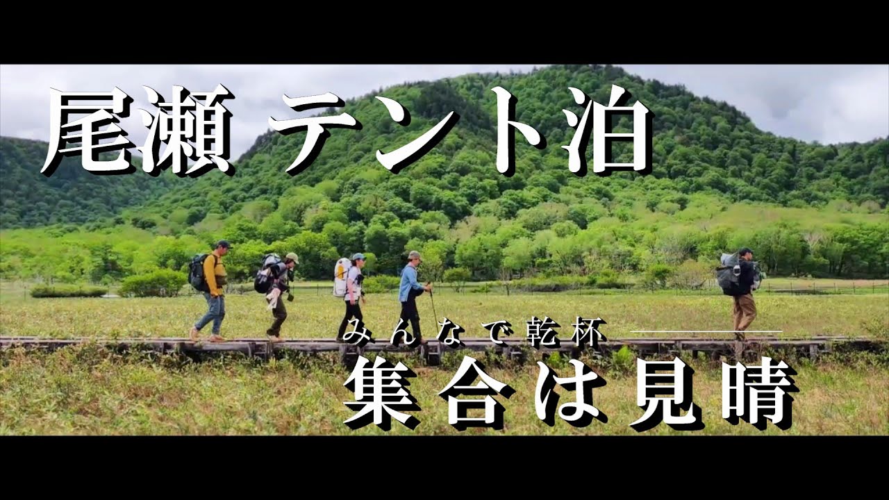 【尾瀬】尾瀬ヶ原が冠水！花・生き物・山小屋ごはん紹介・テント泊（2025.6.14-15）