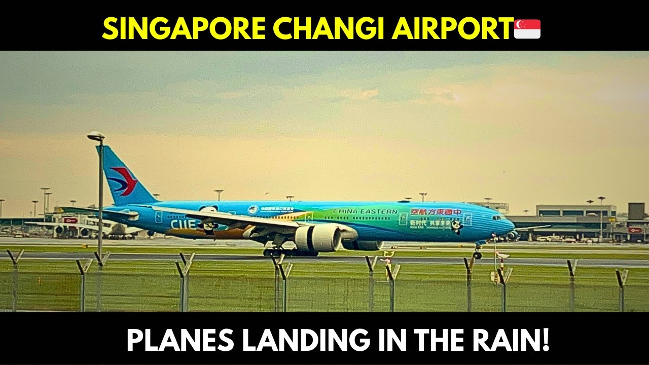 Plane spotting in the Rain at SINGAPORE CHANGI AIRPORT 🇸🇬|Evening Rush!