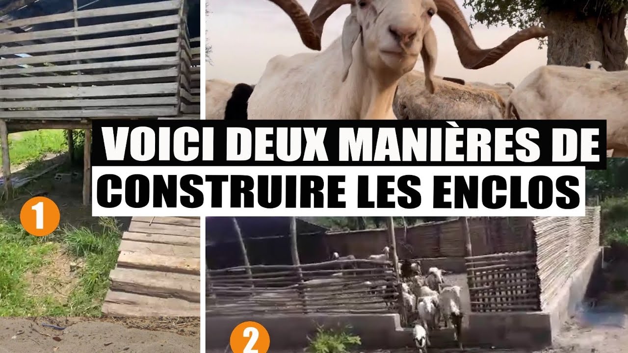 Voici Deux Manieres de Construire les Enclos