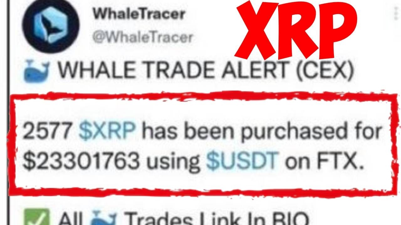 Ripple XRP: стоимость каждой монеты &mdash; 9042 доллара. Разоблачение Артура Бритто и Дэвида Шварца в ...