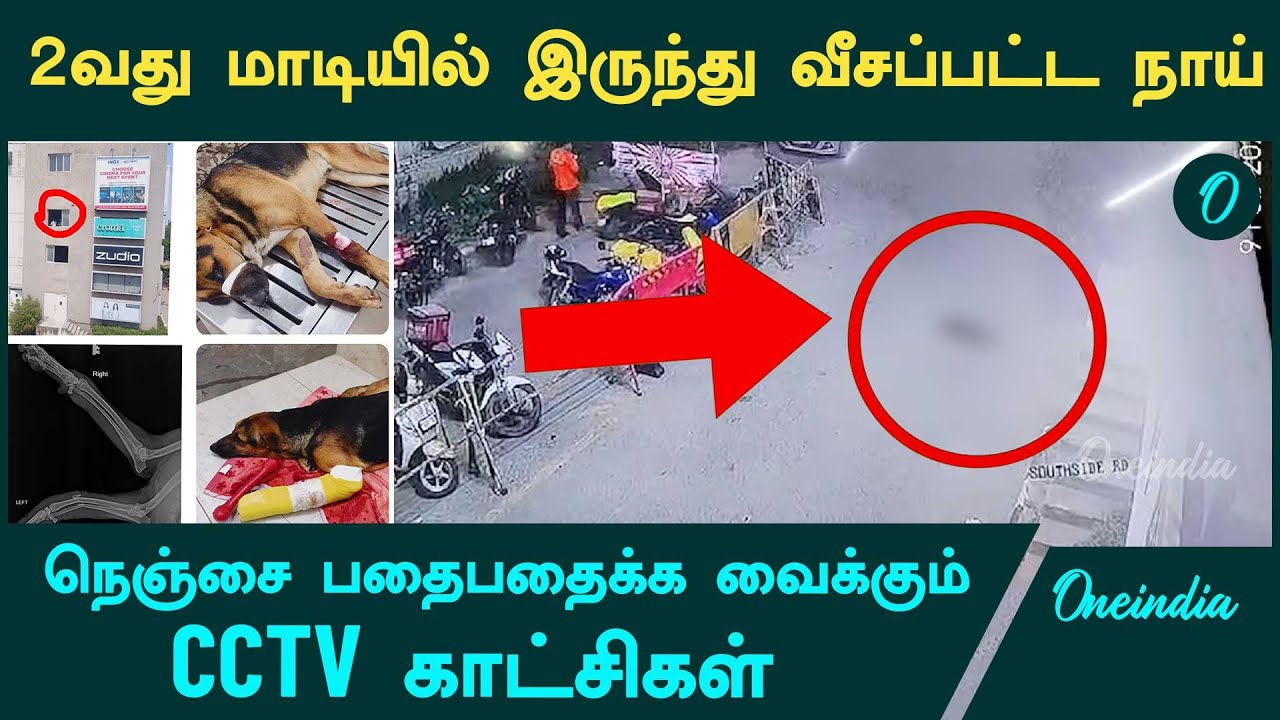 Kovai Prozone Mall-ன் இரண்டாவது மாடியில் இருந்து தூக்கி வீசப்பட்ட நாய் | Shocking CCTV