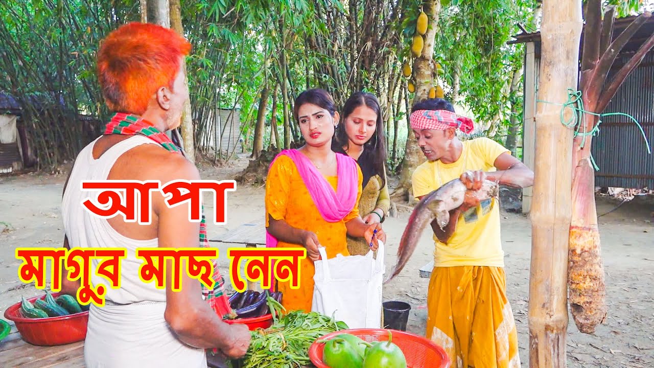 আপা মাগুর মাছ নেন | ফানি ভিডিও | Funny Vedio | Funny Alomgir