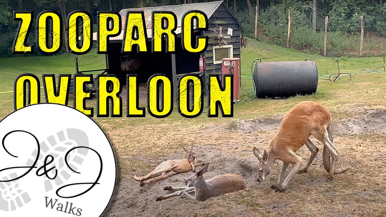 Zooparc Overloon: A Complete Tour