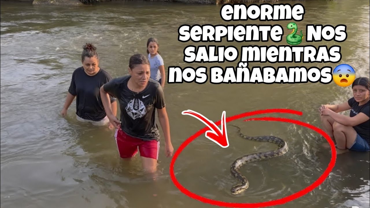 ENORME Serpiente Nos SALIO Mientras nos Bañabamos😨Nos llevamos el susto de Nuestras Vidas😭
