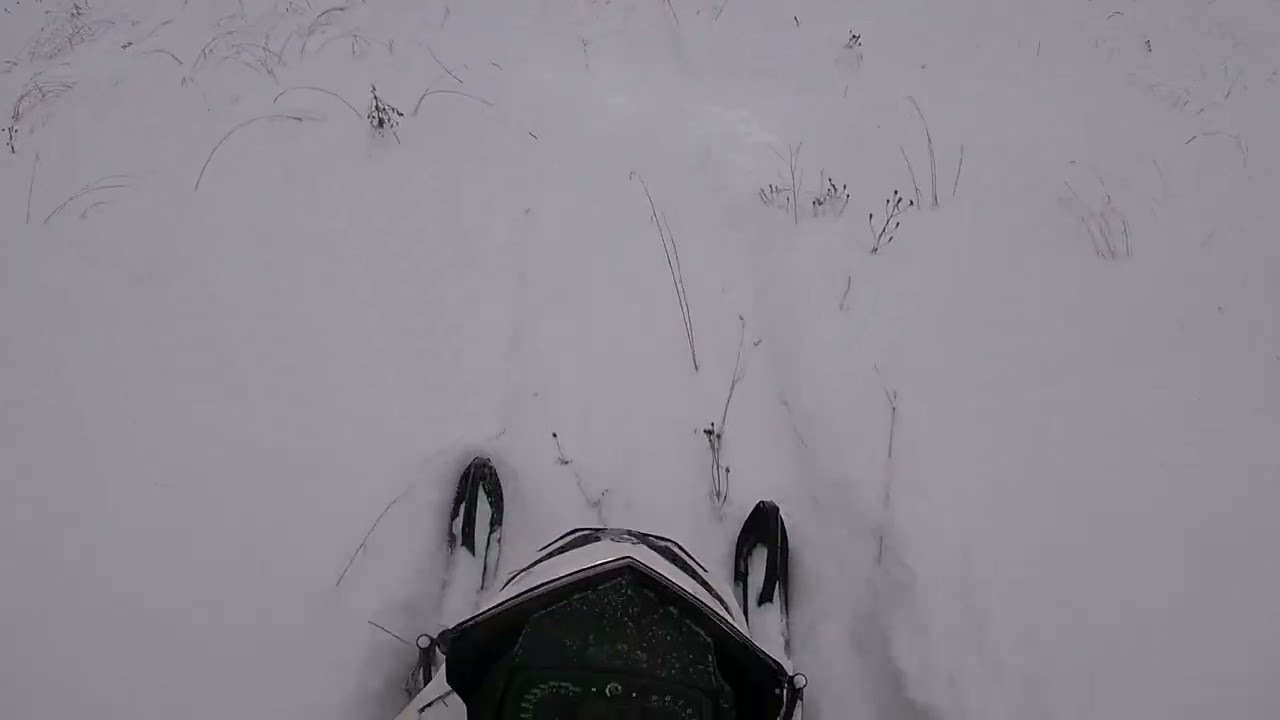 18.01.2025 Куратово FREERIDE 146 800R E-TEC