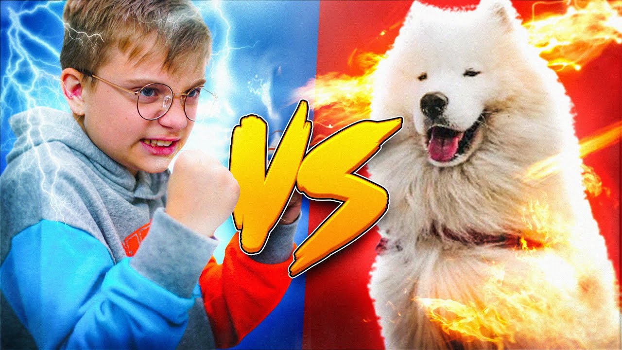 PIES VS DZIECKO