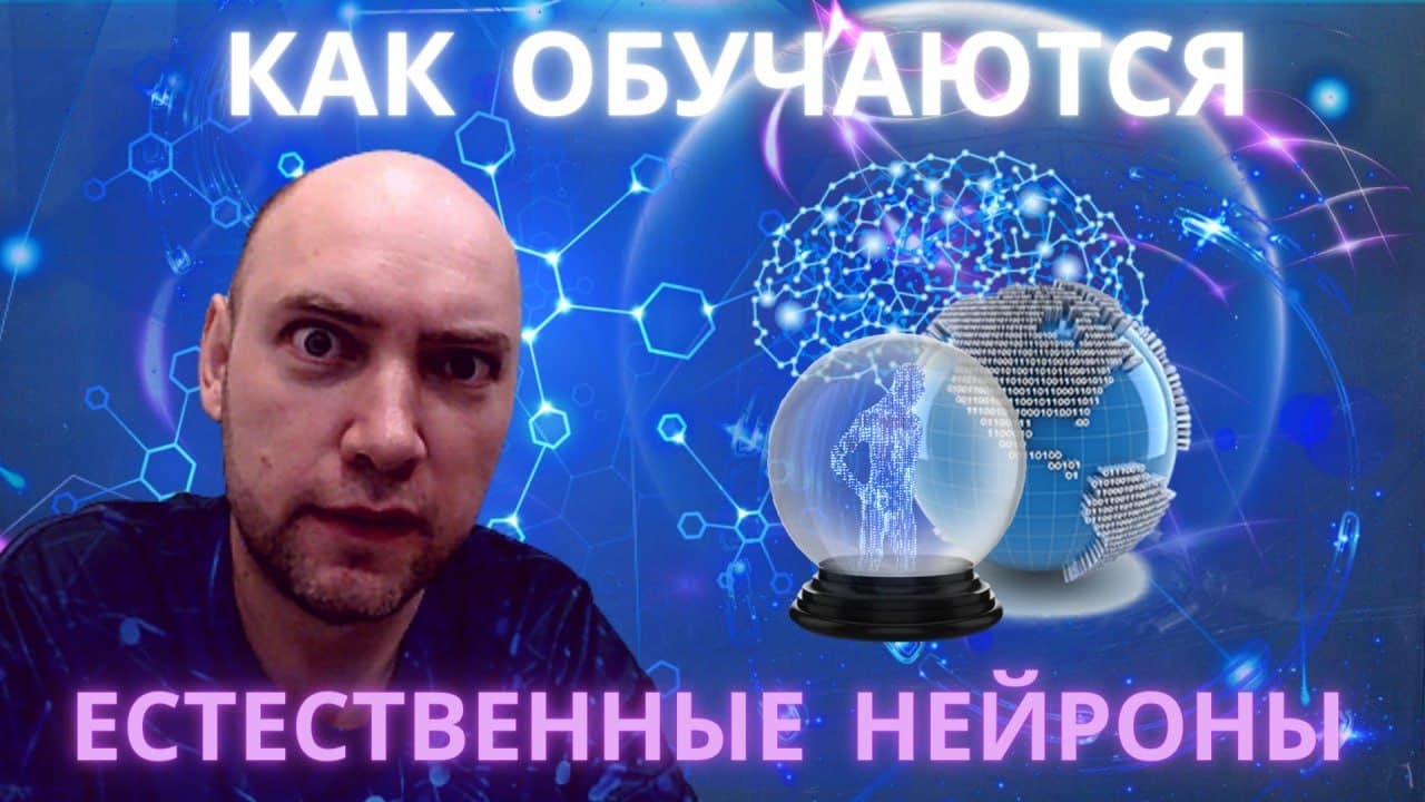 Как устроены естественные нейронные сети? Душкин объяснит