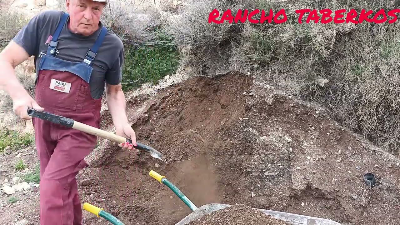 &iexcl;As&iacute; siembro (ALFALFA ECOLOGICA) en mi huerta! 🌿 M&eacute;todo con esti&eacute;rcol y arena