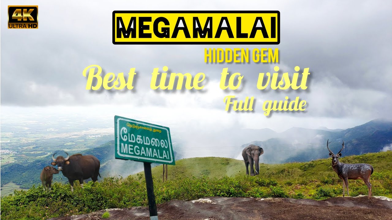 Megamalai - The Unseen Paradise மேகமலை இப்புடி ஒரு இடம் தெரியாம போச்சே😱 Real Gem of tamilnadu Vlog