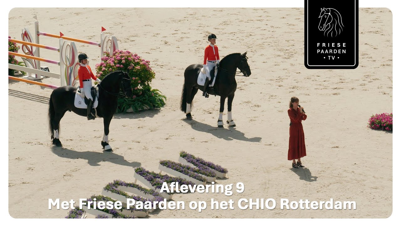 Aflevering 9: Met Friese Paarden op het CHIO Rotterdam | Friese Paarden TV