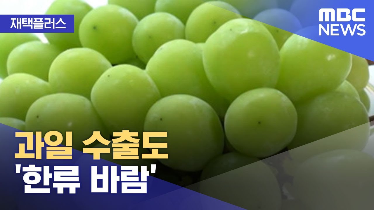 [재택플러스] 과일 수출도 '한류 바람' (2021.06.03/뉴스투데이/MBC)