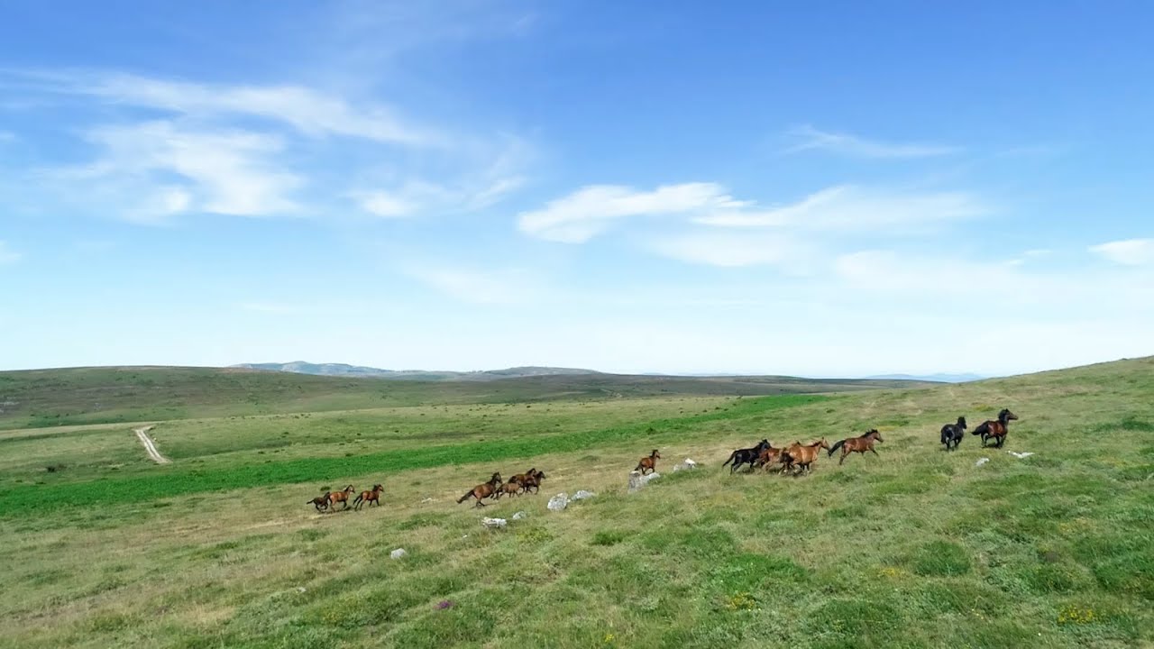 Descubra Melgaço # Episódio 4