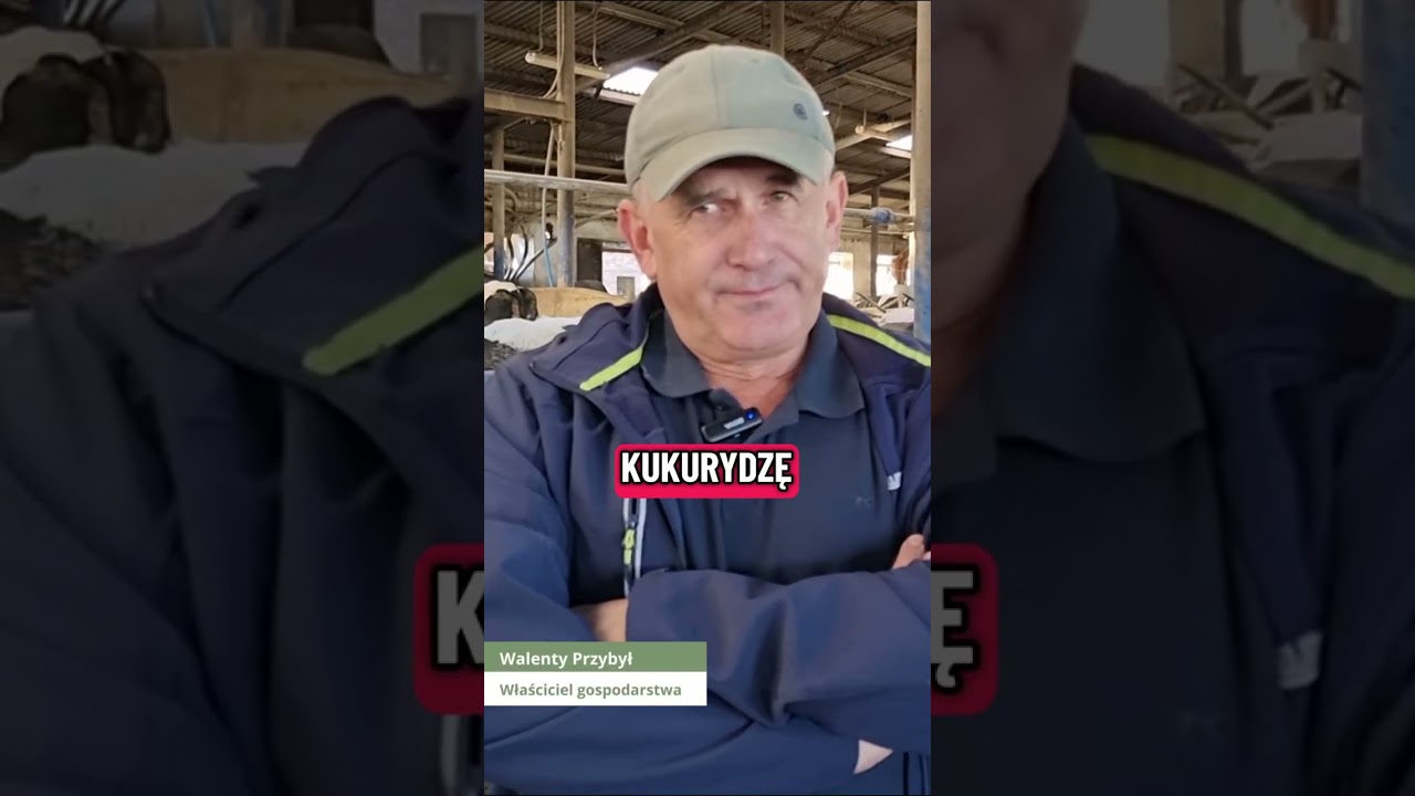 Gospodarstwo od około 1880 roku! Mają 500 zwierząt!