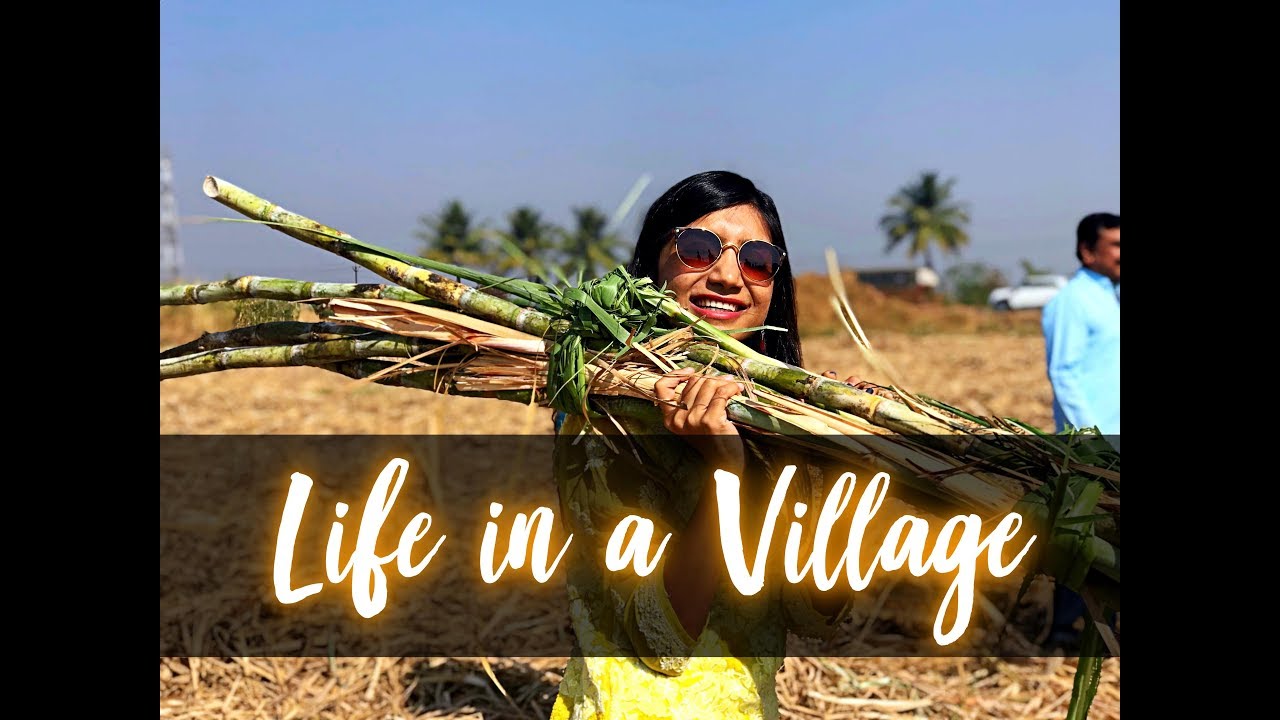 Solapur - Ujani dam- Indian Village Life- HURDA PARTY