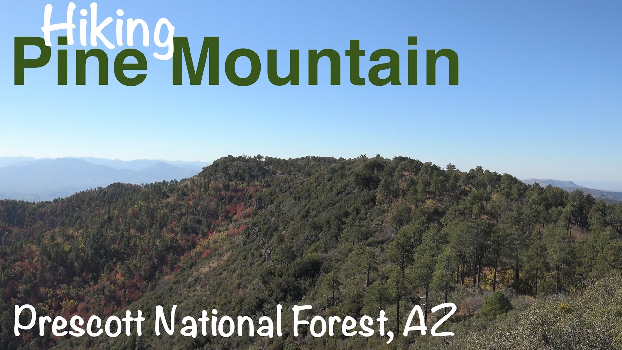 Hiking Pine Mountain - Prescott National Forest, AZ