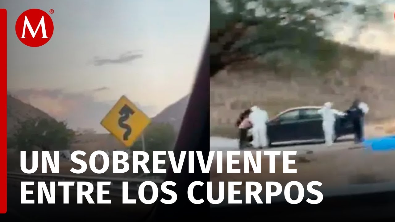 Investigan el caso de los restos humanos hallados en la carretera Cuacnopala-Oaxaca