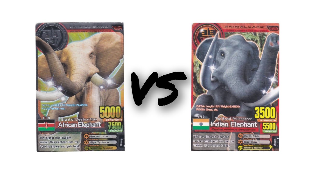 Animal Kaiser - African Elephant vs Indian Elephant