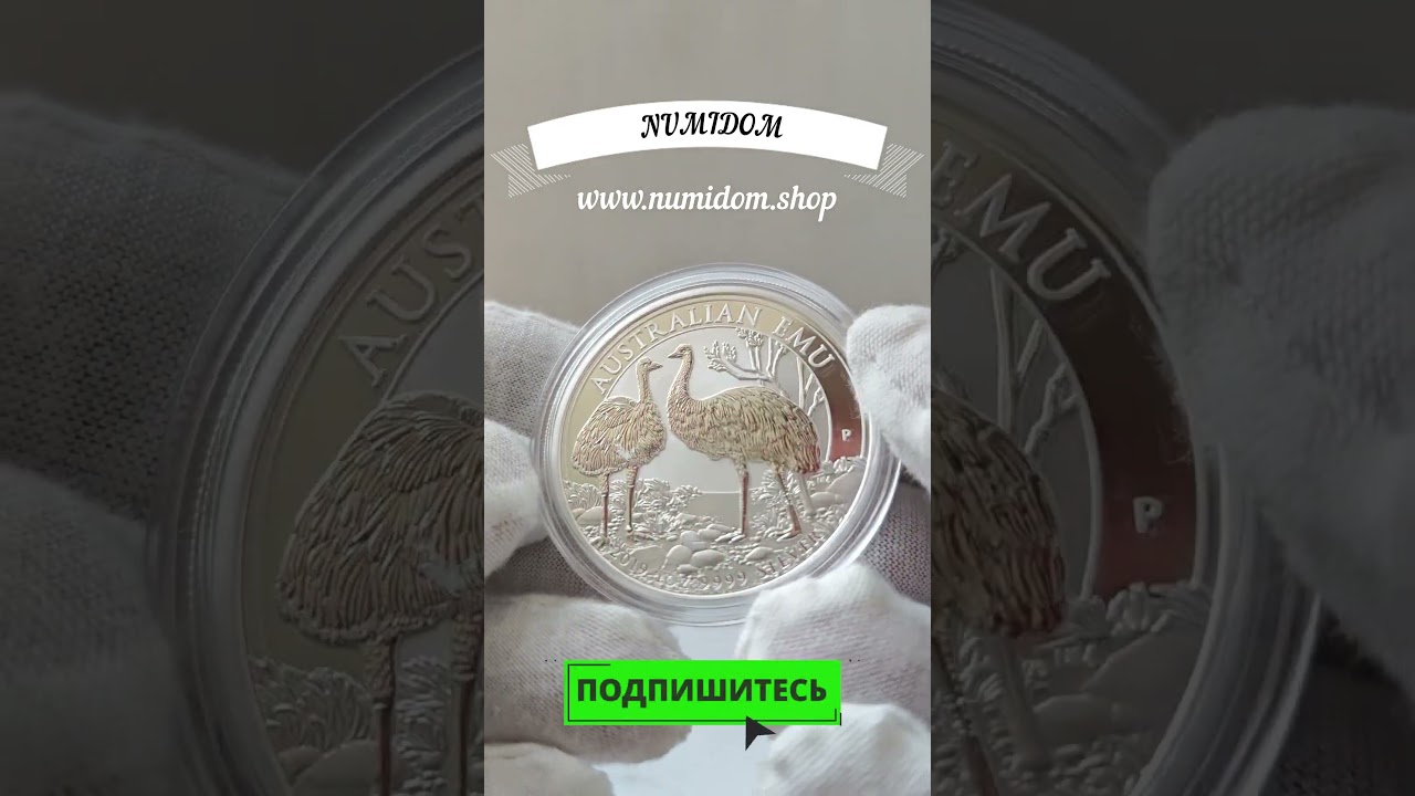 Австралийский эму 2019 