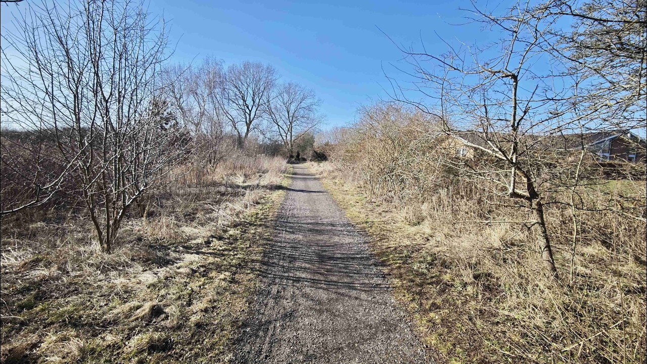 4. marts 2026 Næstved - Even Statsskov