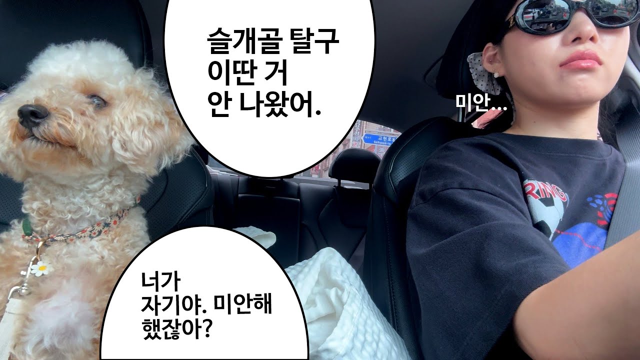 1살인데 수술이요?.. (내돈내산 구독자 이벤트, 휠라언더웨어)