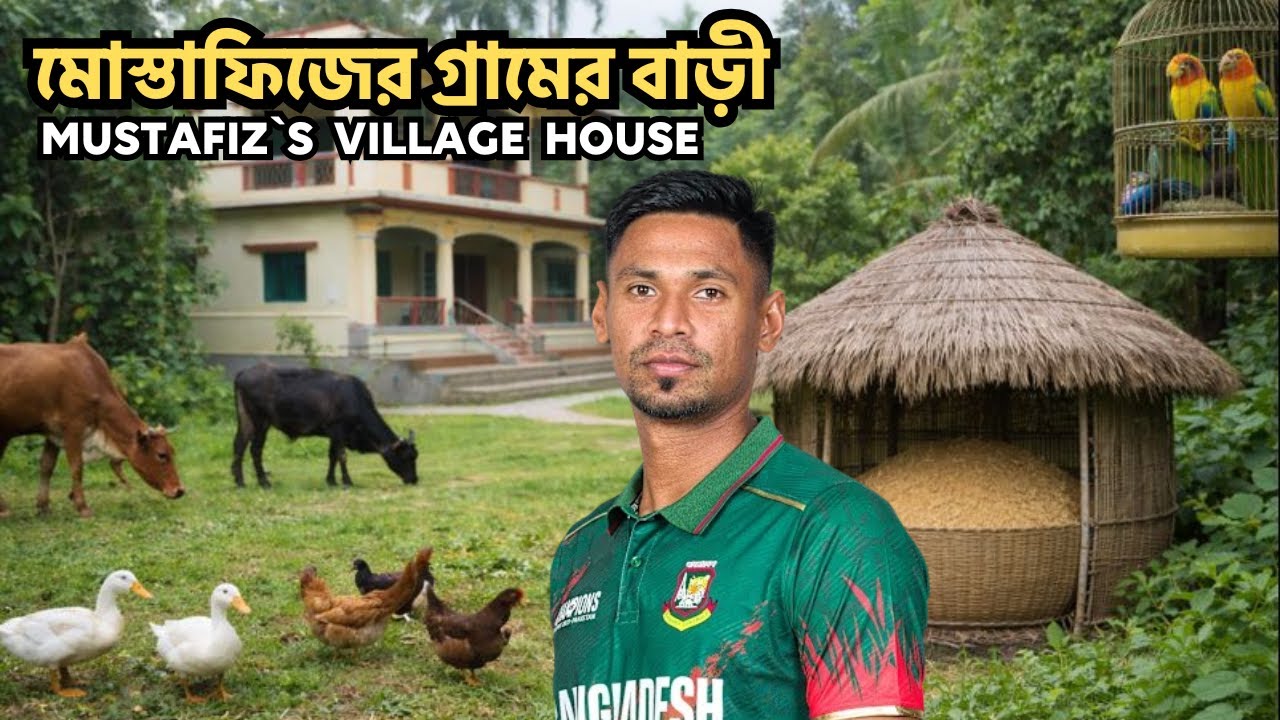 ক্রিকেটার মোস্তাফিজের গ্রামের বাড়ি | Mustafiz Village | Crickert  | Grambanglar Golpo