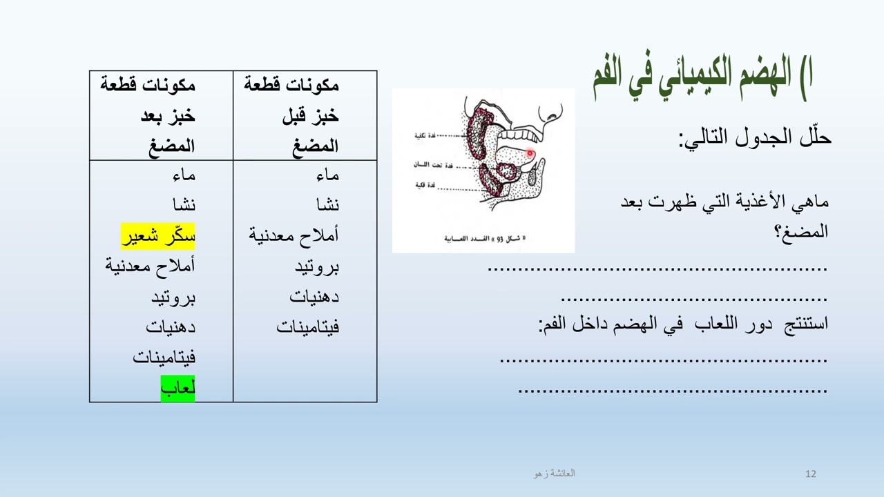 الجهاز الهضمي عند الإنسان