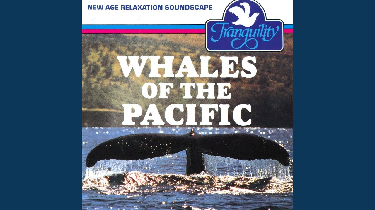 Songs Of The Whale