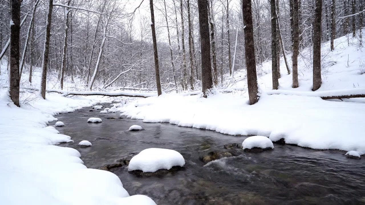 Snow ASMR - 3 Hour Loop for Deep Sleep, Relax & Study