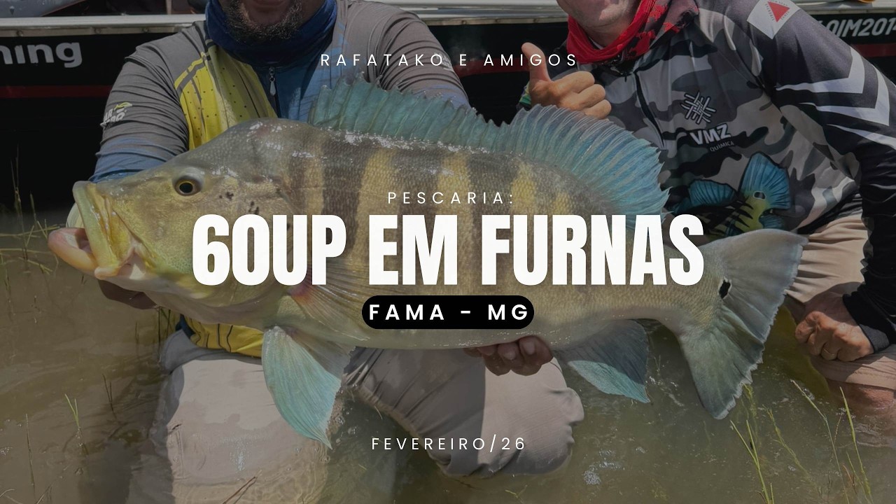 60UP EM FAMA-MG! REPRESA DE FURNAS! Primeira pescaria de tucunaré do Matheus!