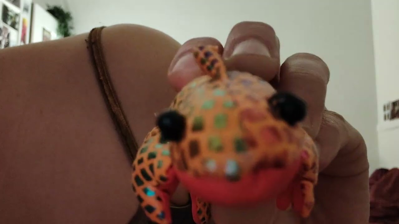 lofi ASMR, late night exploration #lofi #asmr #handmovements #asmrvideo #frenchasmr 
