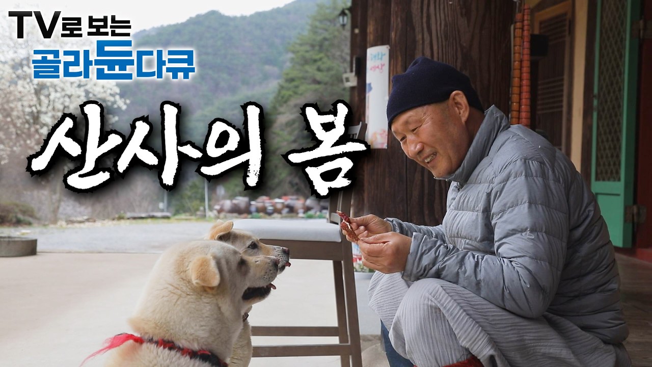 꽃이 흐드러지게 피는 봄이 오면 스님들은 더 바빠진다｜자연 그대로 밥상에 담아내고, 함께 땀 흘려 밭을 일궈내는 산사의 수행자들｜스님의 소박한 봄 한 그릇｜한국기행｜#골라듄다큐