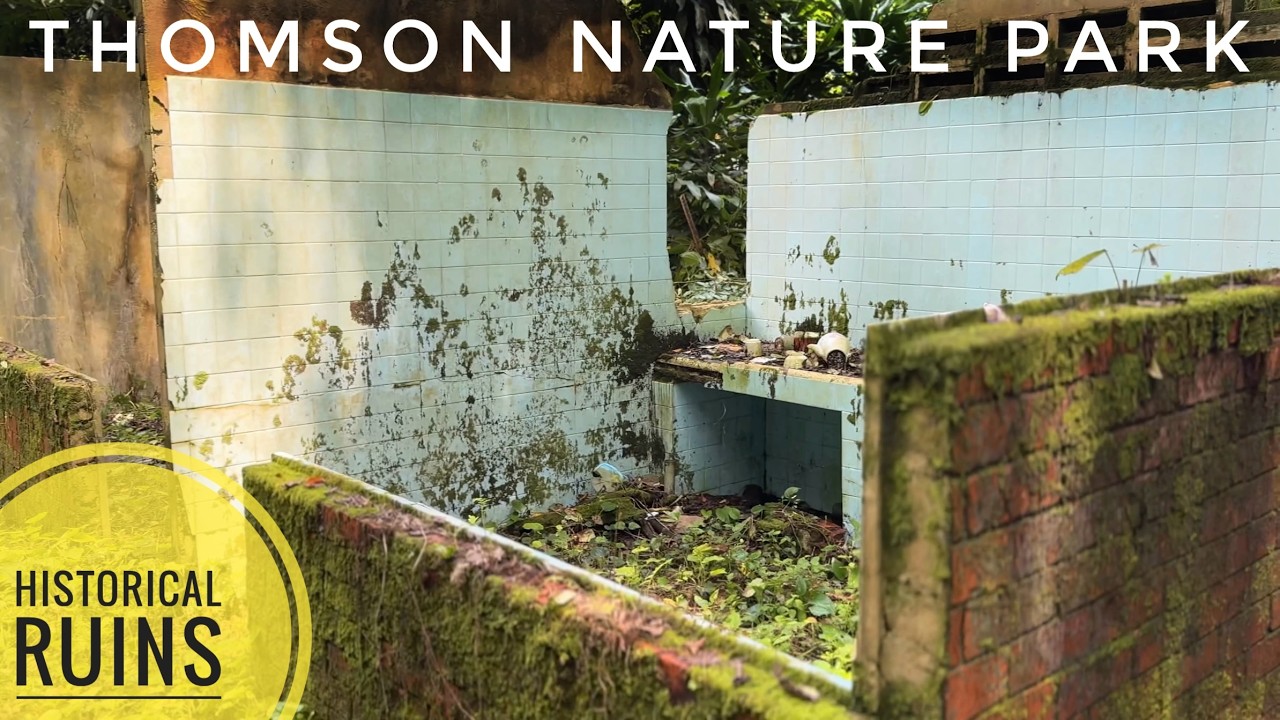 Thomson Nature Park Singapore | Hidden Nature Trail & Ruins Walk 2025