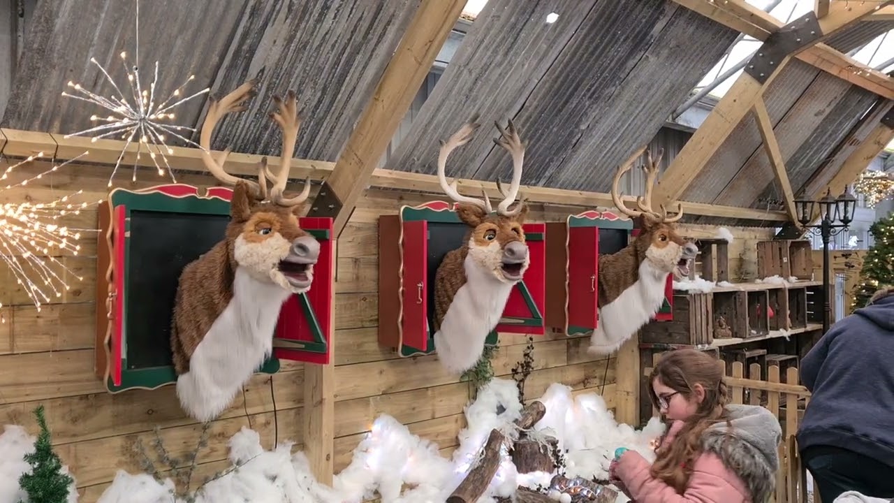 Singing Reindeer at Millets Farm
