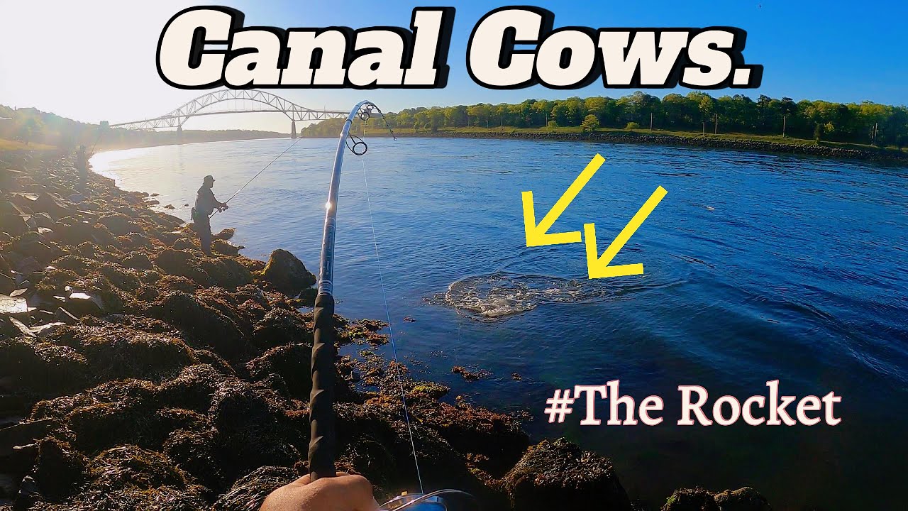 It's finally HAPPENING...| Cape Cod Canal Fishing