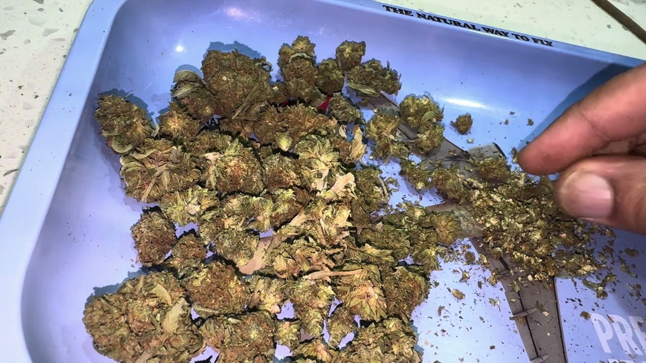 🚨 BaySmokes Outdoor Runts Review: The First Strain I&rsquo;m Telling You to AVOID! 😤