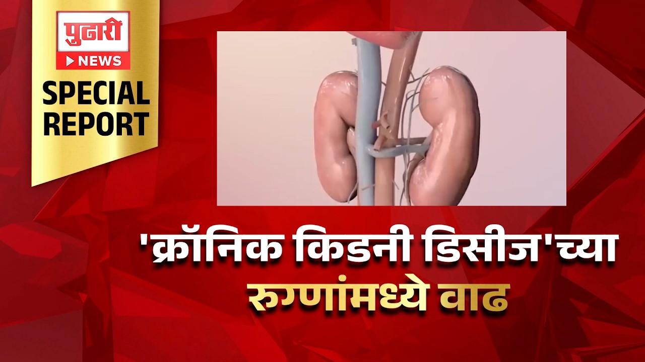 Pudhari News | जरा जपून खा! भारतात 'क्रॉनिक किडनी डिसीज'च्या रुग्णांमध्ये वाढ
